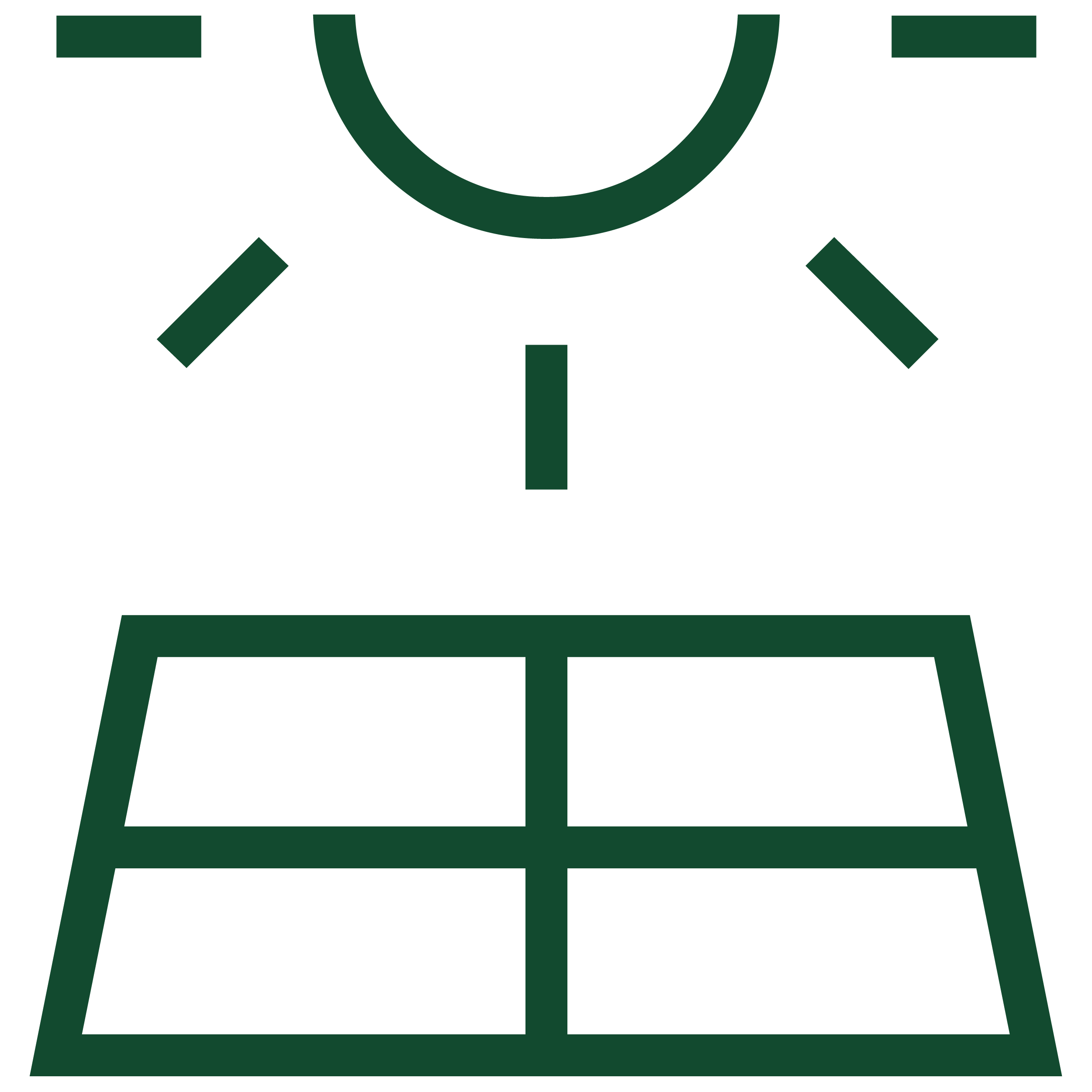 Regionalwerk Schwerpunkte Icon Photovoltaik