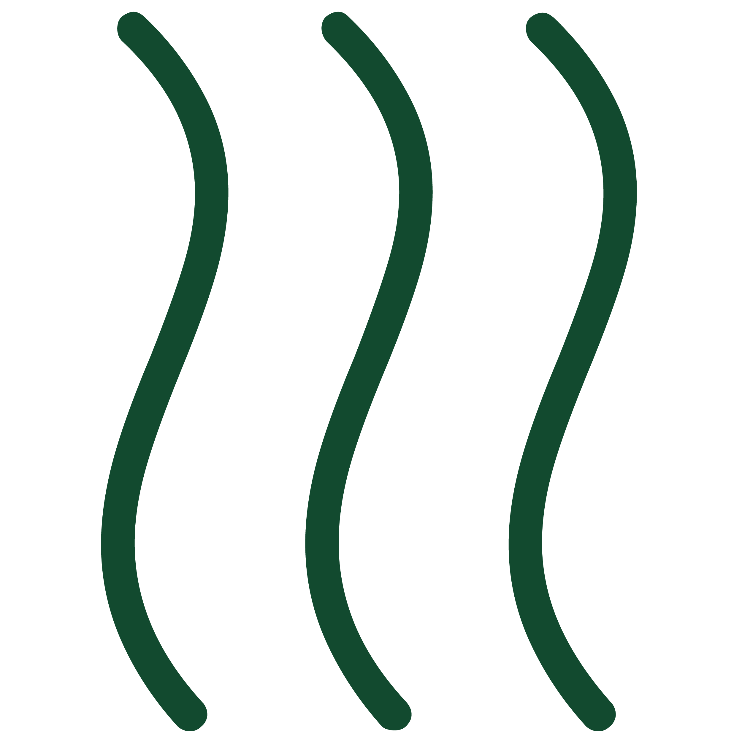 Regionalwerk Schwerpunkte Icon Wärmenetze